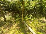 TBD Clito Road - Photo 6