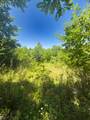 TBD Clito Road - Photo 7