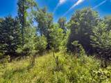 TBD Clito Road - Photo 8