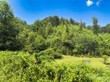 TBD Little Vine Road - Photo 16