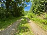 TBD Little Vine Road - Photo 18