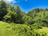TBD Little Vine Road - Photo 19