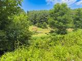 TBD Little Vine Road - Photo 21