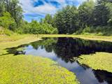 TBD Little Vine Road - Photo 29