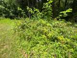 TBD Little Vine Road - Photo 32