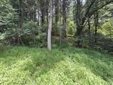 TBD Little Vine Road - Photo 33