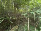 TBD Little Vine Road - Photo 34