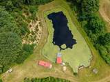 TBD Little Vine Road - Photo 36