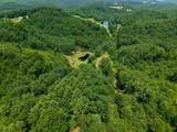 TBD Little Vine Road - Photo 43