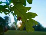 000 Shady Grove Road - Photo 11
