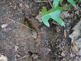 000 Shady Grove Road - Photo 15