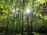 000 Shady Grove Road - Photo 17