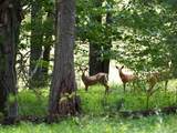 000 Shady Grove Road - Photo 2