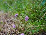 000 Shady Grove Road - Photo 20