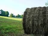 000 Shady Grove Road - Photo 21