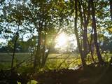 000 Shady Grove Road - Photo 8