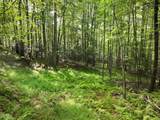 999 Shady Grove Road - Photo 10