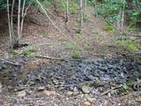 999 Shady Grove Road - Photo 13