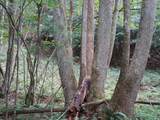 999 Shady Grove Road - Photo 17
