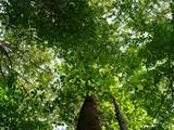 999 Shady Grove Road - Photo 18