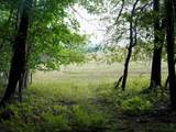 999 Shady Grove Road - Photo 20