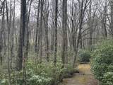 TBD Crooked Creek Lane - Photo 1