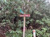 TBD Crooked Creek Lane - Photo 10