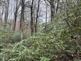 TBD Crooked Creek Lane - Photo 4