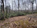TBD Crooked Creek Lane - Photo 6