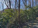 TBD Buck Hollar Rd. - Photo 5