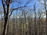 TBD Buck Hollar Rd. - Photo 11