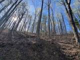 TBD Antler Point - Photo 16