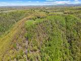 83 Acres Volunteer Rd - Photo 46
