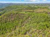 83 Acres Volunteer Rd - Photo 49