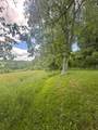 TBD Comers Rock Rd - Photo 18