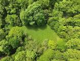 TBD Buffalow Hollow Road - Photo 1