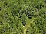 TBD Buffalow Hollow Road - Photo 10