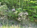 TBD Buffalow Hollow Road - Photo 17