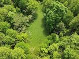 TBD Buffalow Hollow Road - Photo 2