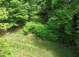 TBD Buffalow Hollow Road - Photo 3