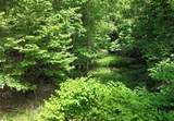 TBD Buffalow Hollow Road - Photo 4