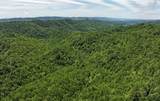 TBD Buffalow Hollow Road - Photo 8