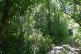 TBD Shoals Lane - Photo 14