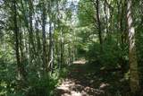 TBD Shoals Lane - Photo 41