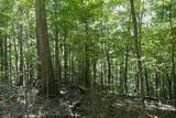 TBD Shoals Lane - Photo 44