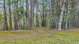 173 Wilderness Family Trail - Photo 7