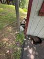 135 River Place Ln - Photo 46