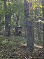 4340 Fox Creek Rd - Photo 24