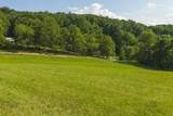 Lot 1 Brush Creek Rd - Photo 10
