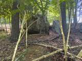 TBD Clito Road - Photo 13
